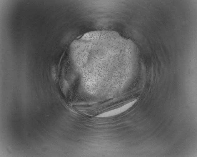 X0000074950335200609221737