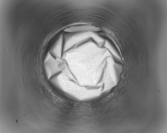 X0000074950337200609221737