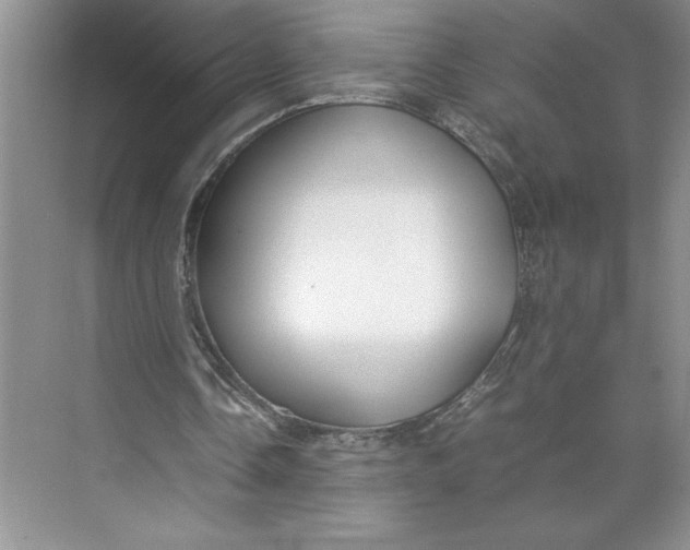 X0000074950338200609221737