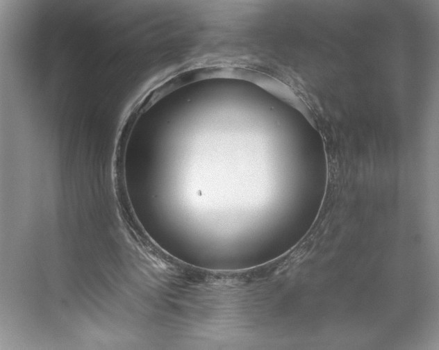 X0000074950340200609221737
