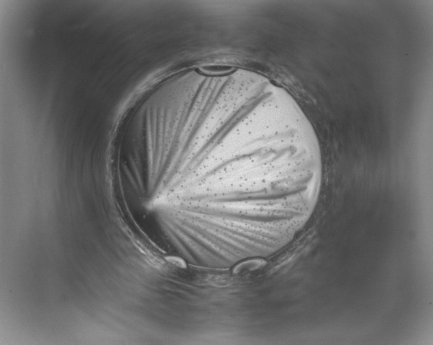 X0000074950341200609221737