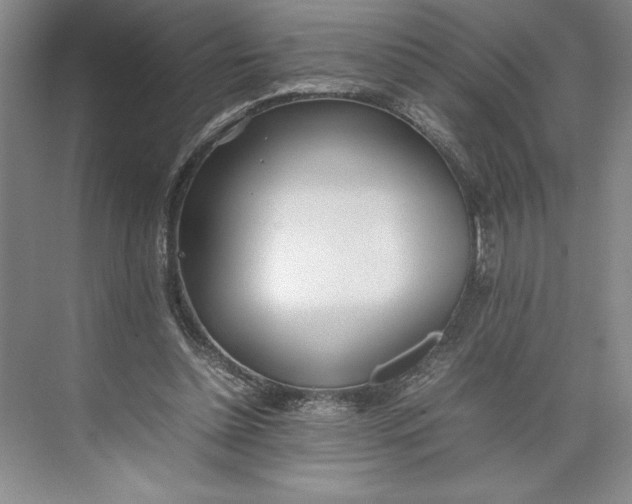 X0000074950348200609221737