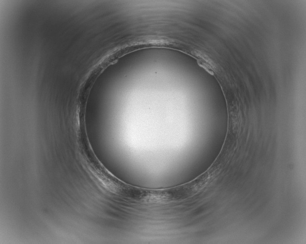 X0000074950350200609221737