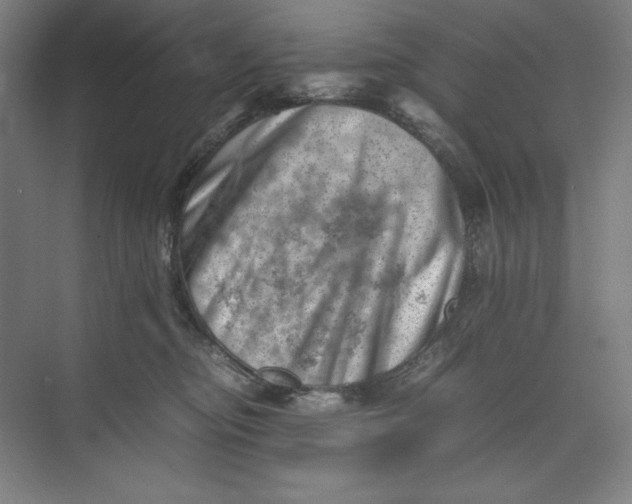 X0000074950374200609221737