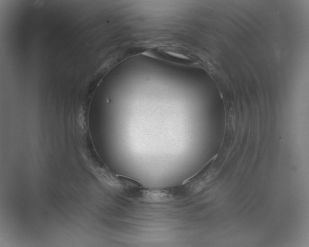 X0000074950380200609221737