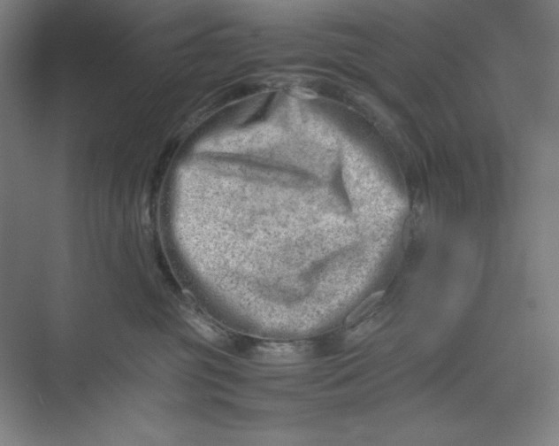 X0000074950381200609221737