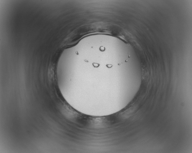 X0000074950382200609221737