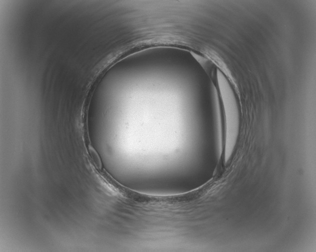 X0000074950389200609221736