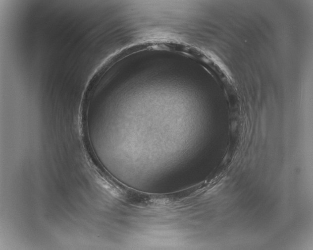 X0000074950391200609221736