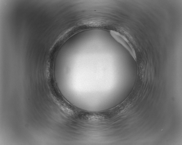 X0000074950400200609221736