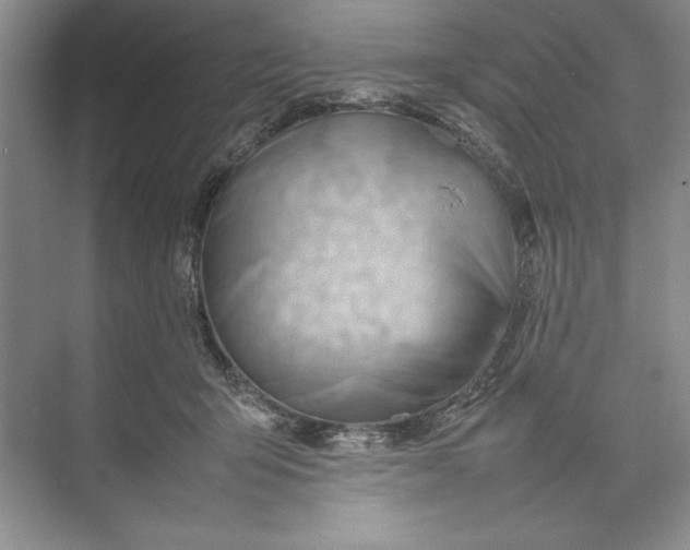 X0000074950415200609221736
