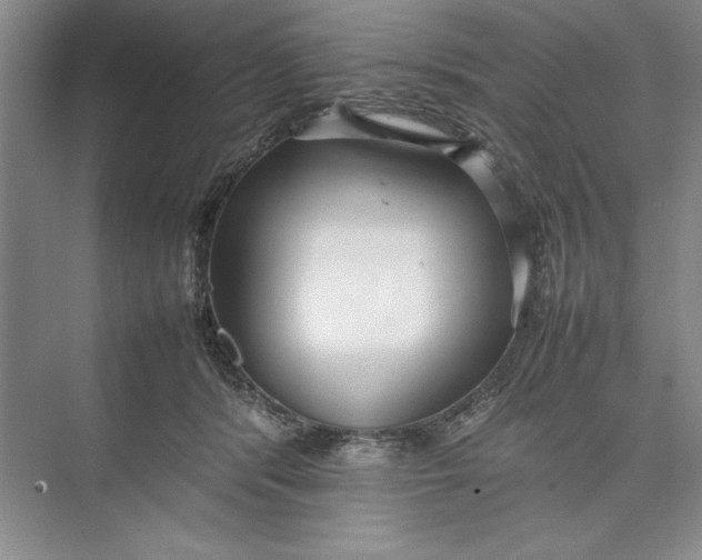 X0000074950416200609221736