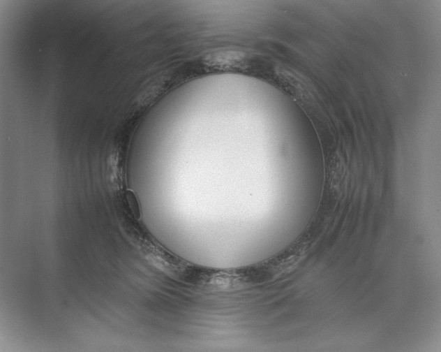 X0000074950420200609221736