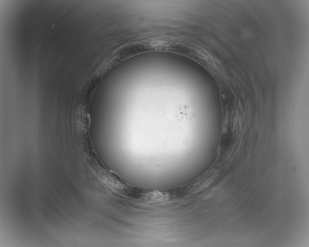 X0000074950421200609221736