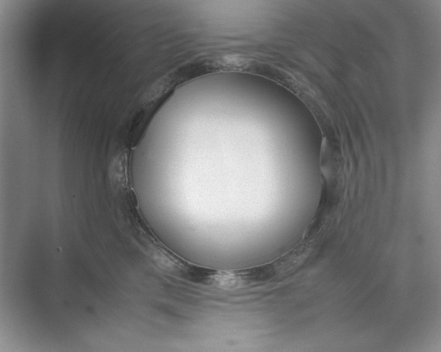 X0000074950425200609221736