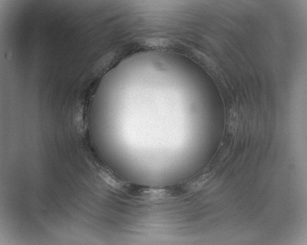 X0000074950428200609221736