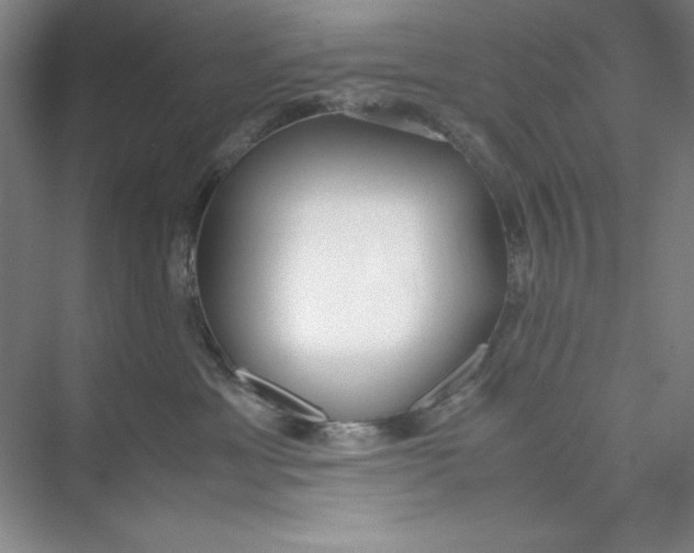 X0000074950429200609221736