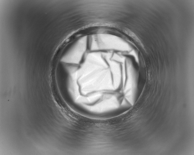 X0000074950436200609221735