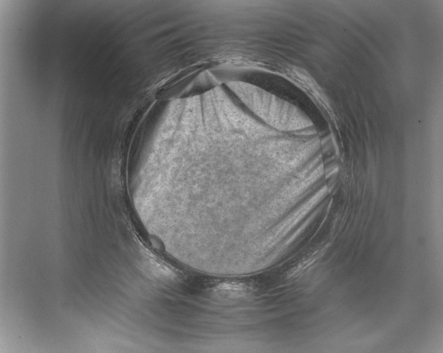 X0000074950441200609221735