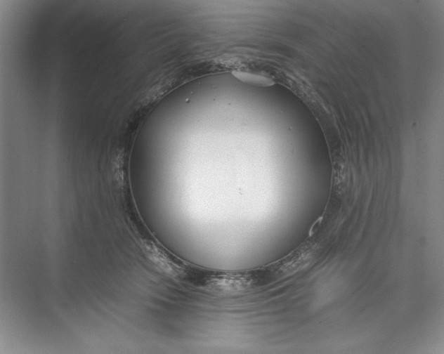 X0000074950466200609221736