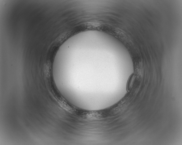 X0000074950468200609221736