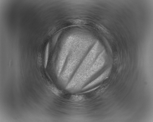 X0000074950469200609221736
