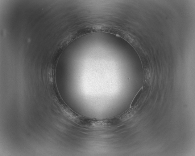 X0000074950470200609221736