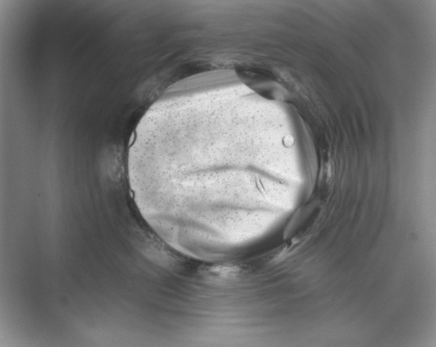 X0000074950478200609221736