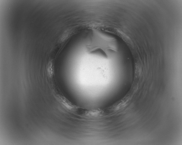 X0000074950479200609221736