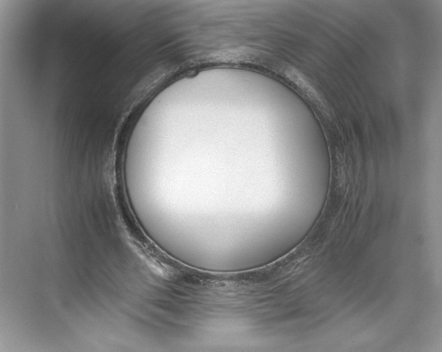 X0000074950486200609221735