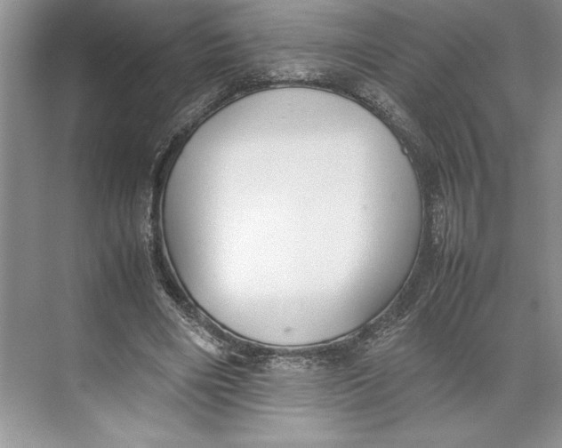 X0000074950490200609221735