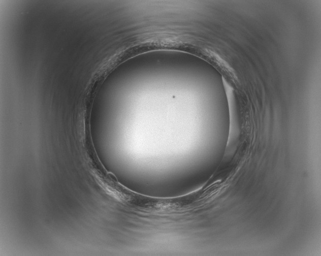 X0000074950493200609221735
