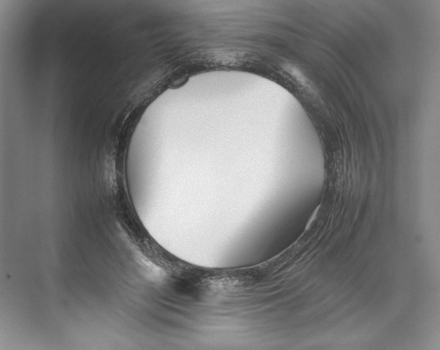 X0000074950500200609221735