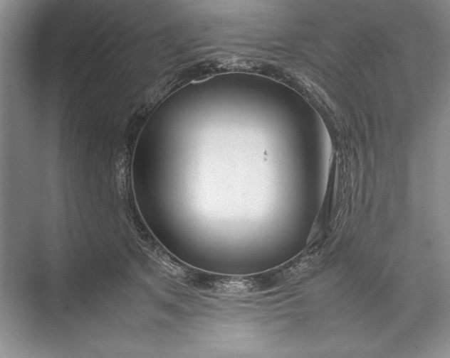 X0000074950513200609221734