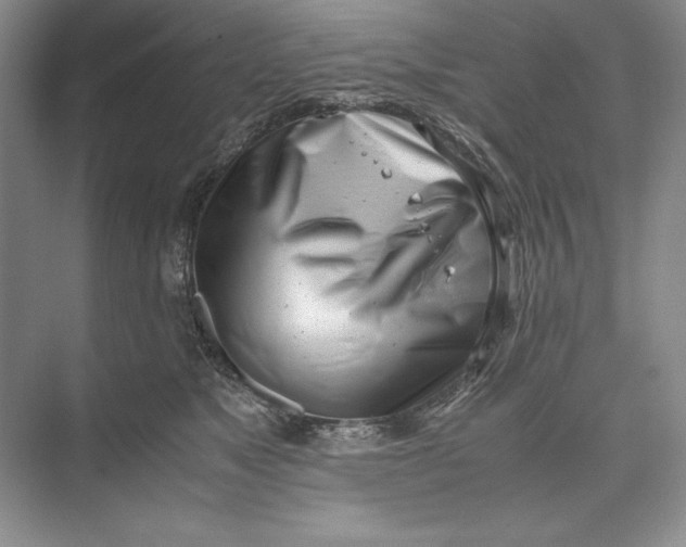 X0000074950517200609221734