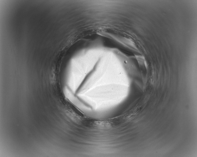X0000074950520200609221734
