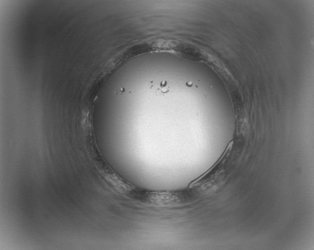 X0000074950521200609221734