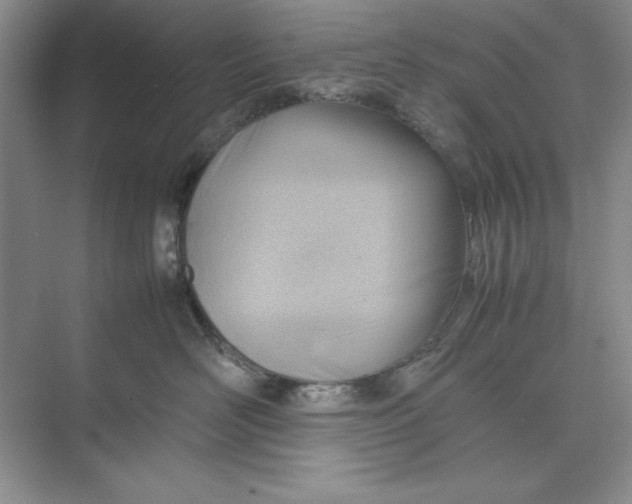 X0000074950526200609221734