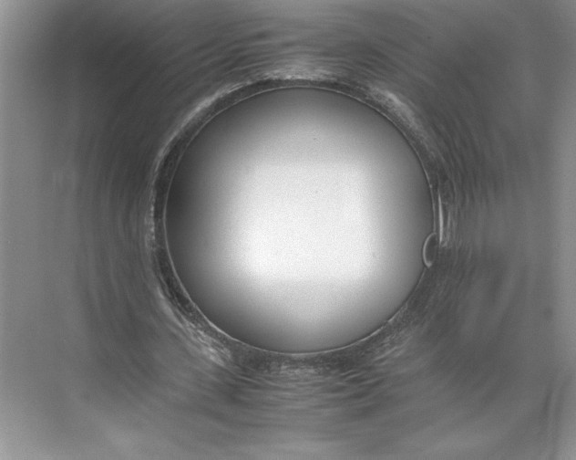X0000074950531200609221733