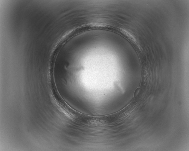 X0000074950535200609221733