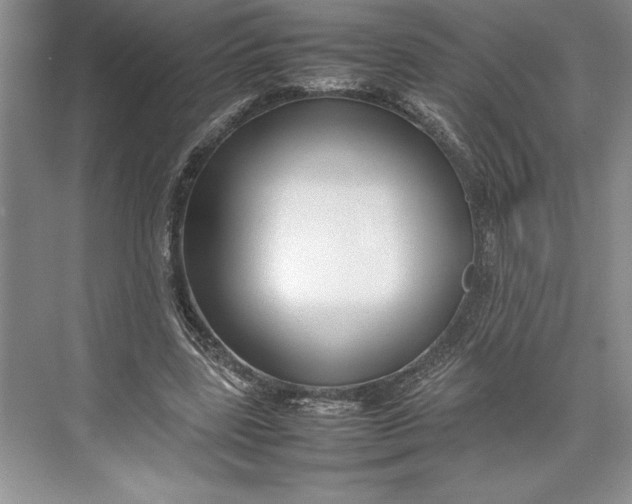 X0000074950539200609221733