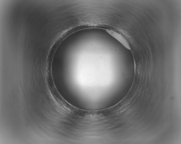 X0000074950540200609221733