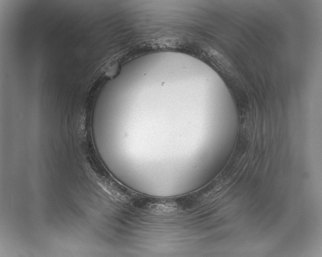 X0000074950548200609221734