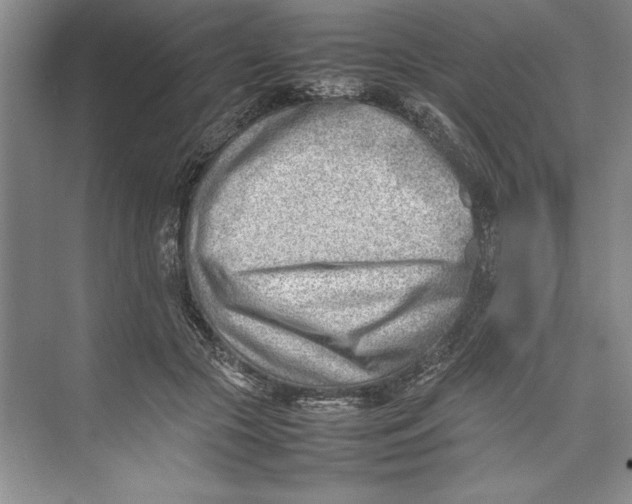 X0000074950553200609221734