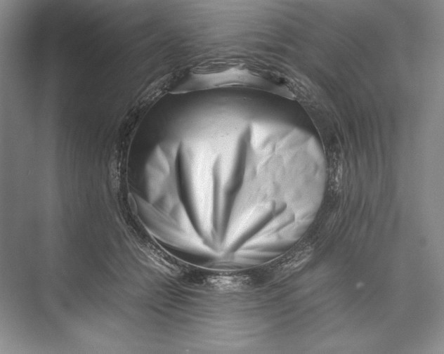 X0000074950558200609221734