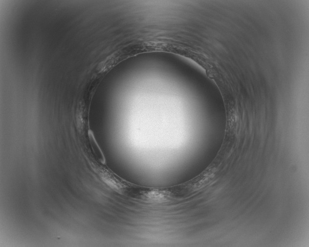 X0000074950566200609221734