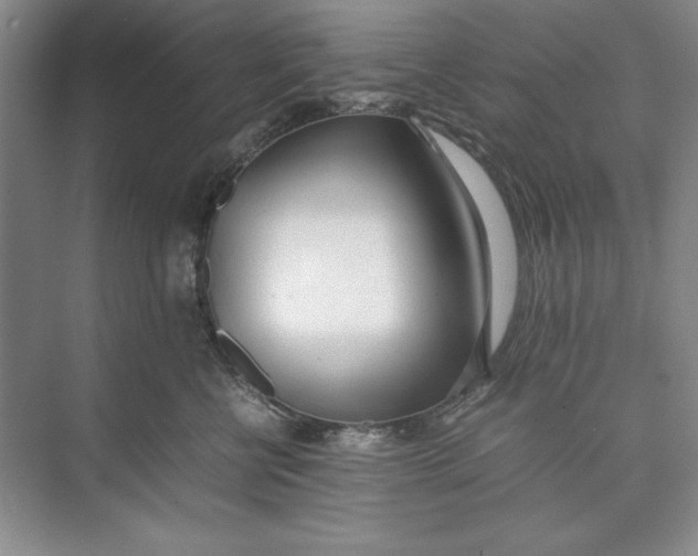 X0000074950570200609221734