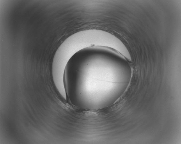 X0000074950572200609221734