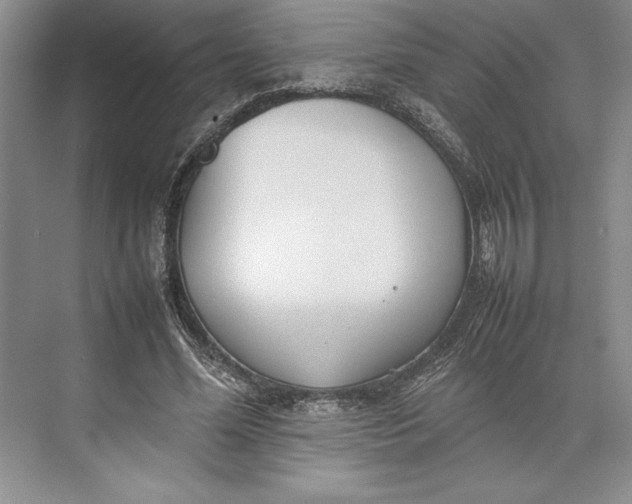 X0000074950588200609221733