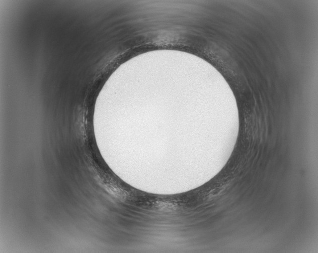 X0000074950592200609221733